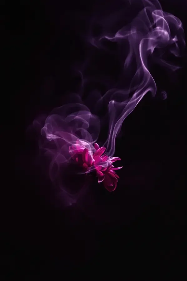 黄果短剧网《影子与星辰》封面